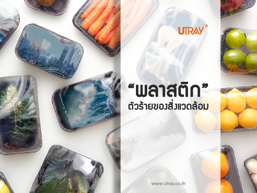 พลาสติกตัวร้ายต่อสิ่งแวดล้อม