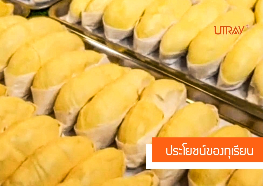 ประโยชน์ของทุเรียน