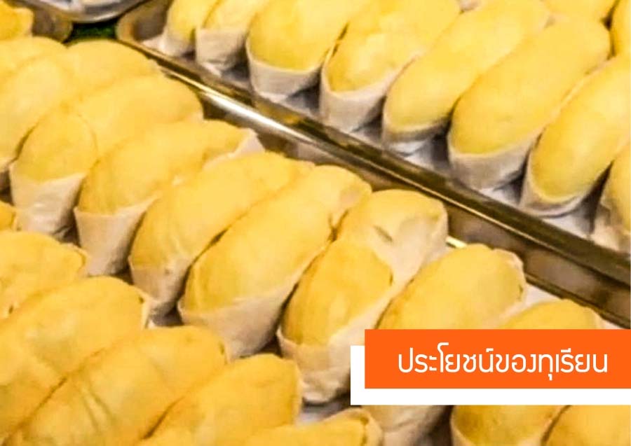 ประโยชน์ของทุเรียน