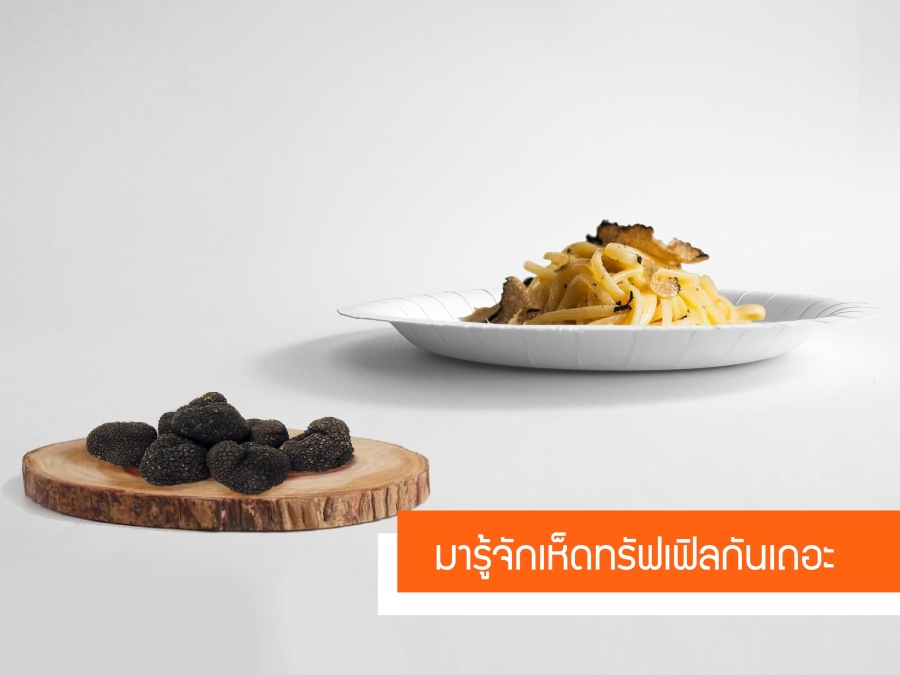 เห็ดทรัฟเฟิล เห็ดทรัฟเฟิล