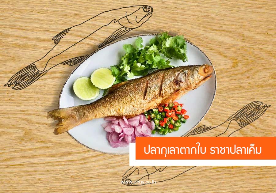 ปลากุเลาตากใบ 