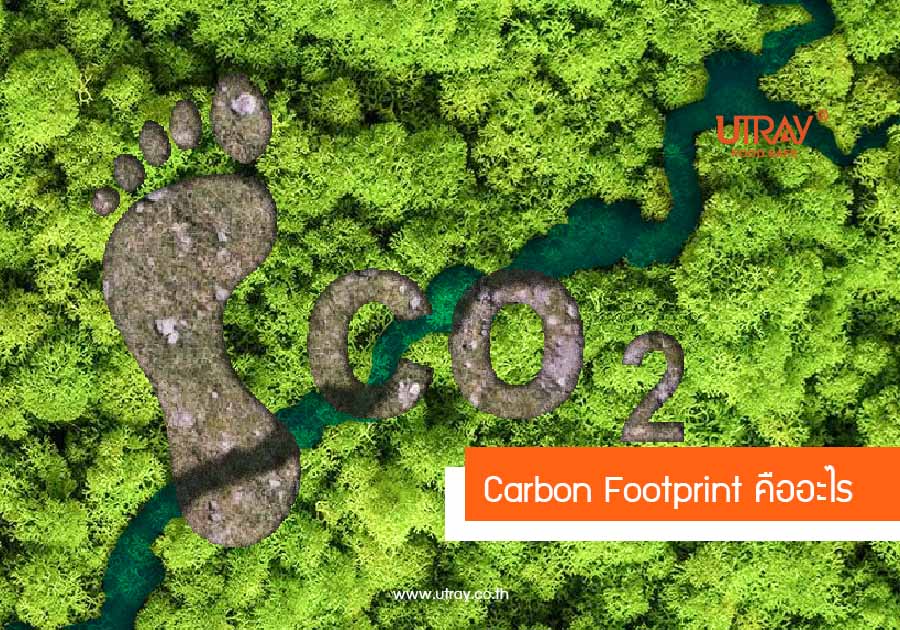 Carbon Footprint  คืออะไร