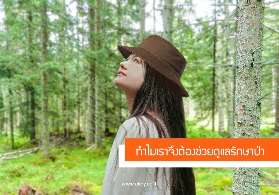 ทำไมเราต้องดูเเลรักษาป่า
