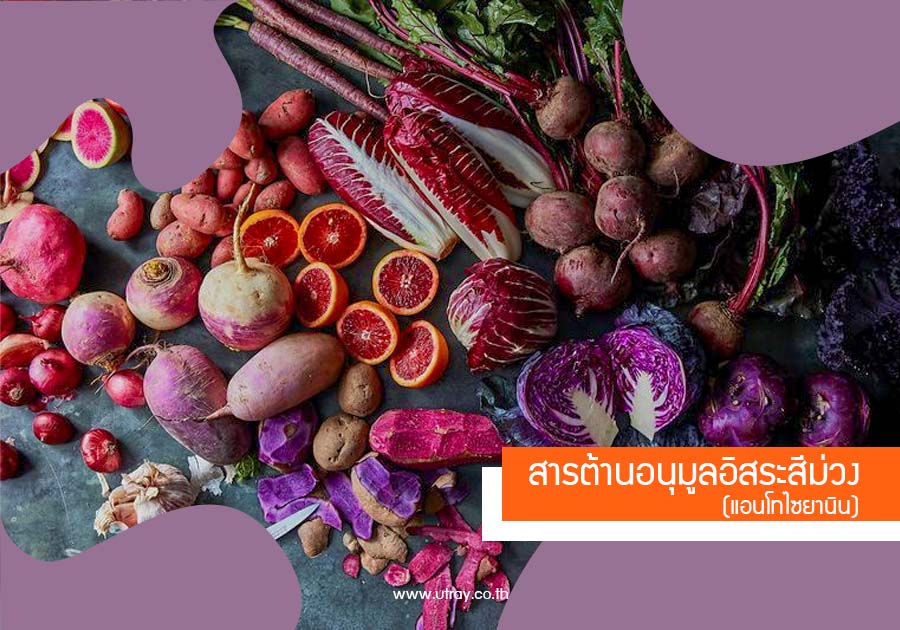 เเอนโทไซยานิน มหัศจรรย์สารสีม่วง
