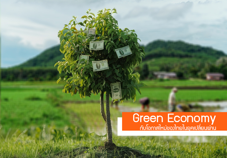 เศรษฐกิจสีเขียว (Green Economy) กับโอกาสใหม่ของไทยในยุคเปลี่ยนผ่าน