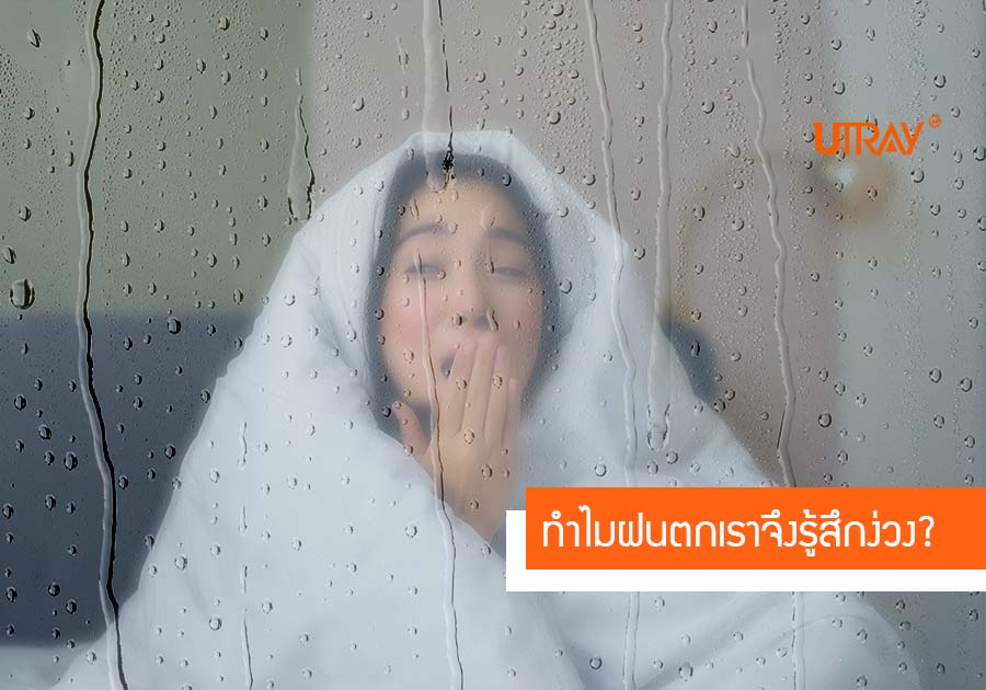 ทำไมฝนตกเราจึงรู้สึกง่วง?