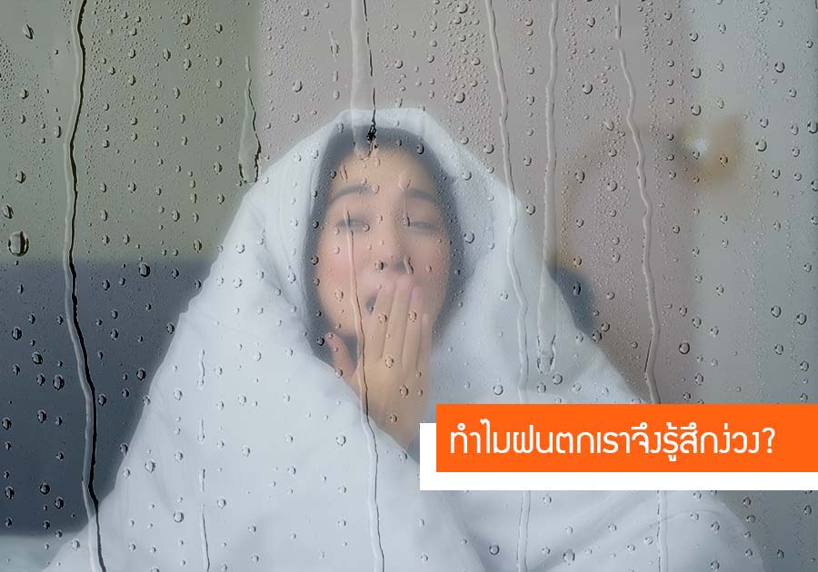 ทำไมฝนตกเราจึงรู้สึกง่วง?
